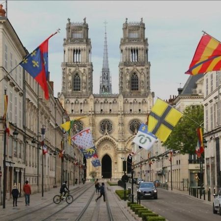 Studio Rue Pietonne Orléans Kültér fotó