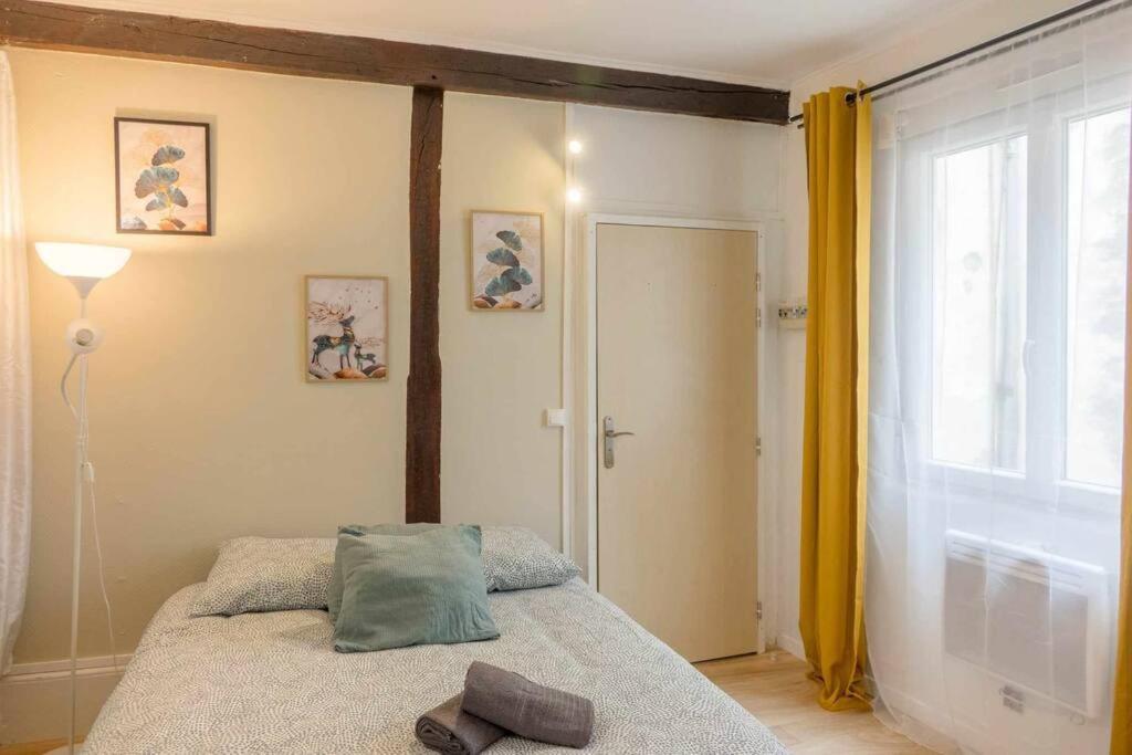Studio Rue Pietonne Orléans Kültér fotó